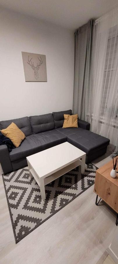 Apartament Na Kochanowskiego Торунь Экстерьер фото